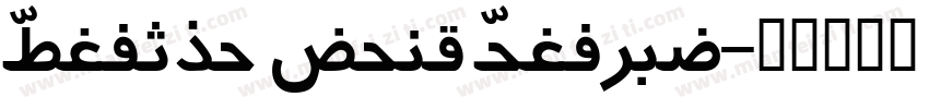 Porsche Next Persian字体转换